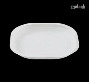 ظرف یکبار مصرف گیاهی کیک خوری آملون-🍰 خرید ظرف یکبار مصرف گیاهی کیک خوری آملون | کیفیت عالی ⭐ تحویل فوری ⚡