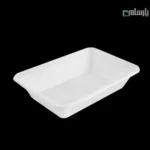 ظرف گیاهی یکبار مصرف بسته بندی عمیق آملون