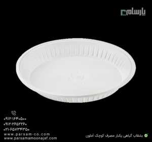 بشقاب گیاهی یکبار مصرف کوچک آملون-زاویه دیگر