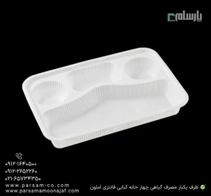 ظرف یکبار مصرف گیاهی چهار خانه کبابی فانتزی آملون-زاویه دیگر