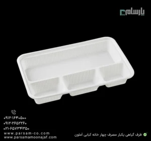 ظرف گیاهی یکبار مصرف چهار خانه کبابی آملون-زاویه دیگر