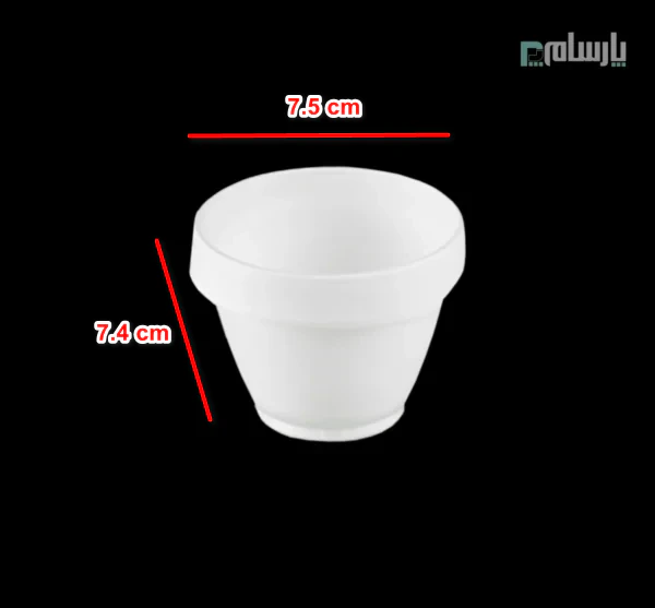 ظروف یکبار مصرف رستوران