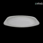 دیس گیاهی یکبار مصرف سایز بزرگ آملون-🍽️ دیس گیاهی یکبار مصرف سایز بزرگ آملون | مناسب مهمانی 🎉 خرید عمده 💰