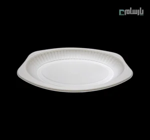 دیس یکبار مصرف گیاهی آملون سایز کوچک-زاویه دیگر