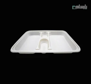 ظرف یکبار مصرف گیاهی چهار خانه مرغی آملون-زاویه دیگر