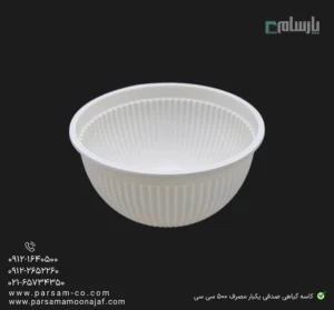 کاسه گیاهی صدفی یکبار مصرف ۵۰۰ سی سی خورشتی آملون- سازگار با محیط زیست 🌱 خرید آسان 🛒-زاویه ی دوم