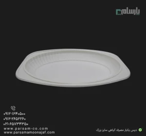 دیس گیاهی یکبار مصرف سایز بزرگ آملون-بسته بندی غذا