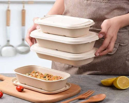 ظروف یکبار مصرف کاغذی
