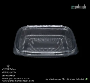 ظرف یکبار مصرف دلی 250 سی سی شفاف-پت-زاویه دیگر
