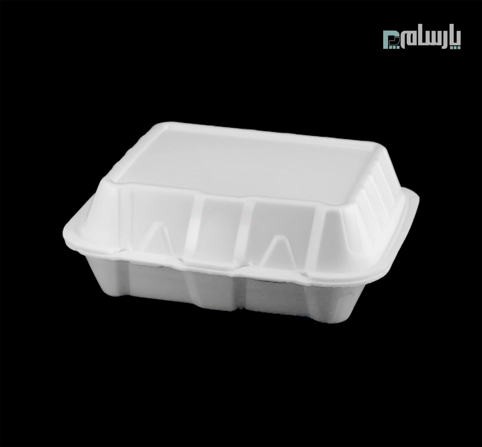 ظروف یکبار مصرف رستوران