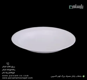 بشقاب یکبار مصرف بزرگ فوم کاسپین-زاویه دیگر